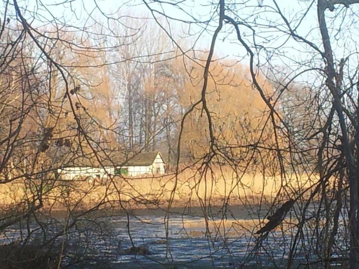 Sonniges Haeuschen Mit Garten Braunschweig Exteriör bild