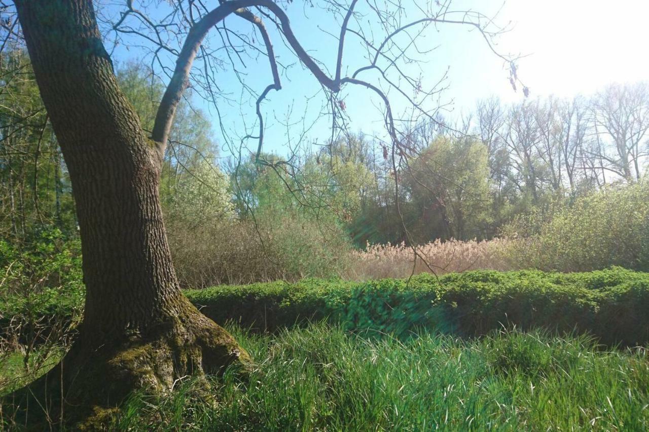 Sonniges Haeuschen Mit Garten Braunschweig Exteriör bild